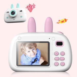 vCartoon rabbit video recorder